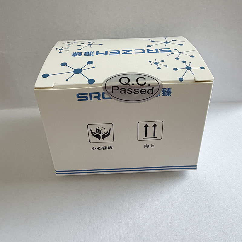 产品2.jpg